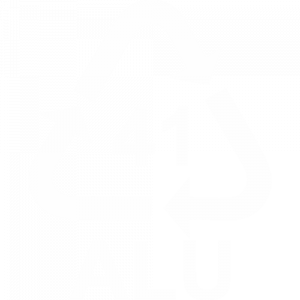 ALU-41